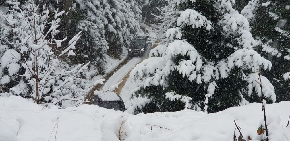 Όλο και πιο χαμηλά οι χιονοπτώσεις στα ορεινά της Καρδίτσας (+Φώτο)