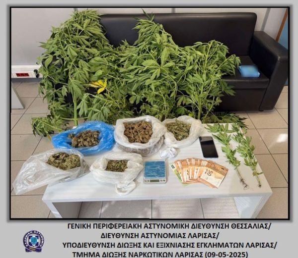 Συνελήφθη άνδρας στη Λάρισα για καλλιέργεια και διακίνηση κάνναβης