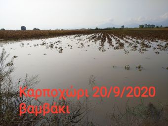 Επιστολή του Κάια Φώτη προς τον Αντιπρόεδρο του ΕΛΓΑ για τις ζημιές στις αγροτικές καλλιέργειες