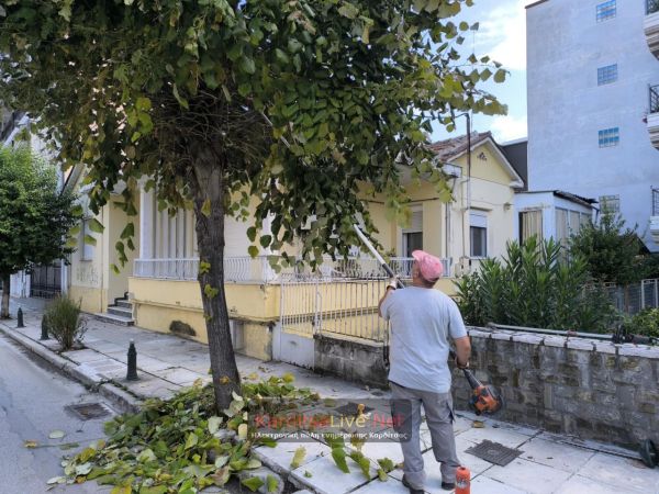 Συνεχίζονται οι εργασίες κλαδέματος στην Καρδίτσα – ελλείψεις προσωπικού στη Δ/νση Καθαριότητας και Πρασίνου (+Φωτο +Βίντεο)