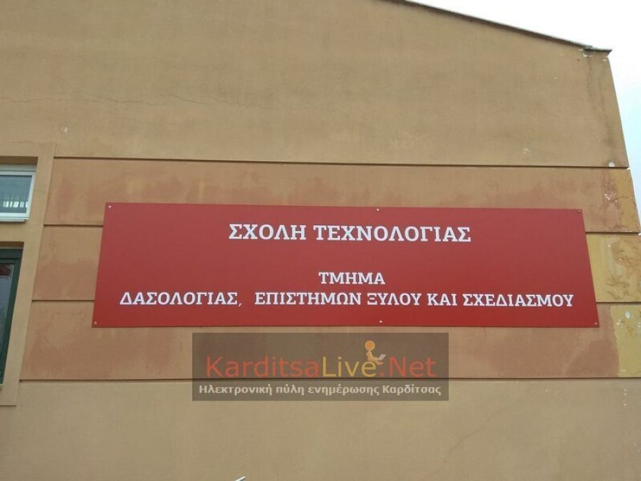 Αισιοδοξία στις επιχειρήσεις ξύλου και επίπλου για τα επόμενα βήματά τους – Τι αναφέρει ο καθηγητής Ιωάν. Παπαδόπουλος