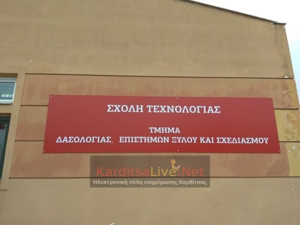 Αισιοδοξία στις επιχειρήσεις ξύλου και επίπλου για τα επόμενα βήματά τους – Τι αναφέρει ο καθηγητής Ιωάν. Παπαδόπουλος