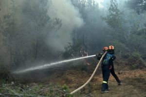 Φωτιά στο Κερασοχώρι Αγράφων – Σηκώθηκαν δύο αεροσκάφη και ελικόπτερο