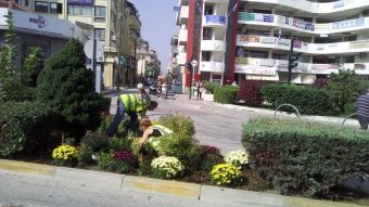2.500 εποχιακά φυτά φύτευσε η Υπηρεσία Πρασίνου του Δήμου Καρδίτσας