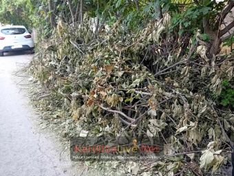 Δήμος Σοφάδων: Προσωρινή αναστολή περισυλλογής κλαδεμάτων και ογκωδών αντικειμένων
