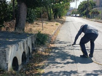 Κινητοποίηση του Δήμου Σοφάδων για την καταπολέμηση των κουνουπιών μετά το επιβεβαιωμένο κρούσμα ιού του Δυτικού Νείλου