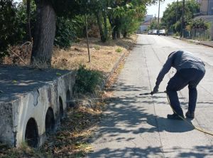Κινητοποίηση του Δήμου Σοφάδων για την καταπολέμηση των κουνουπιών μετά το επιβεβαιωμένο κρούσμα ιού του Δυτικού Νείλου