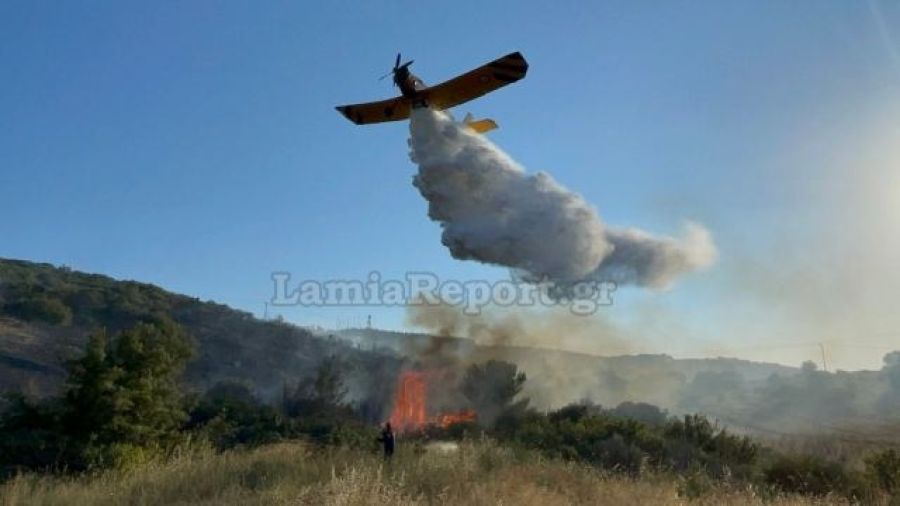 Φθιώτιδα: Πρόλαβαν την πυρκαγιά πάνω από το Παράρτημα ΑμεΑ Δομοκού (+Βίντεο)