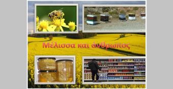 Ημερίδα με θέμα «Μέλισσες - επικονιαστές και άνθρωπος»