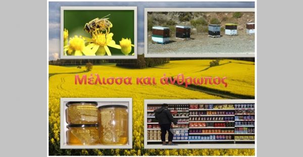 Ημερίδα με θέμα «Μέλισσες - επικονιαστές και άνθρωπος»